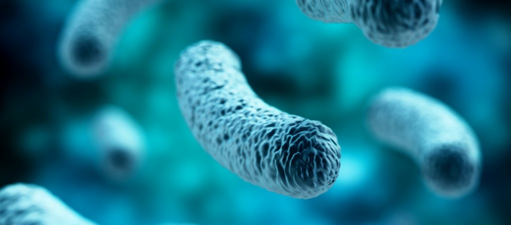 Rendered close-up of rod-shaped bacteria against a blurred teal background